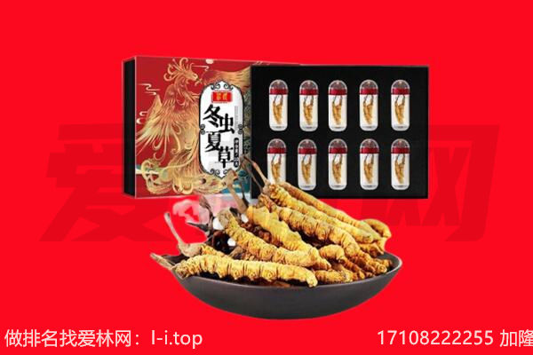 鸡西市麻山回收虫草.jpg